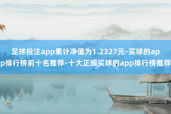 足球投注app累计净值为1.2327元-买球的app排行榜前十名推荐-十大正规买球的app排行榜推荐