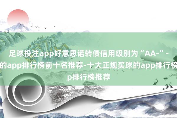 足球投注app好意思诺转债信用级别为“AA-”-买球的app排行榜前十名推荐-十大正规买球的app排行榜推荐