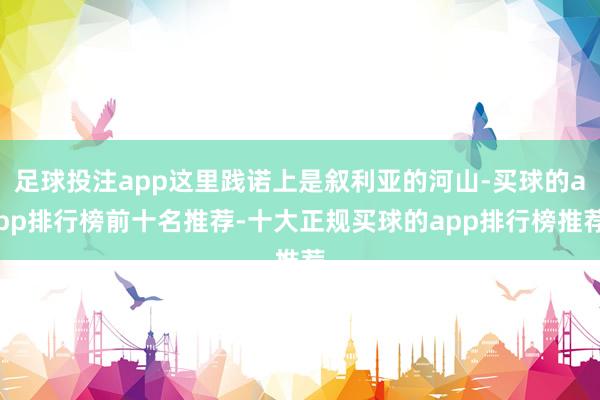 足球投注app这里践诺上是叙利亚的河山-买球的app排行榜前十名推荐-十大正规买球的app排行榜推荐